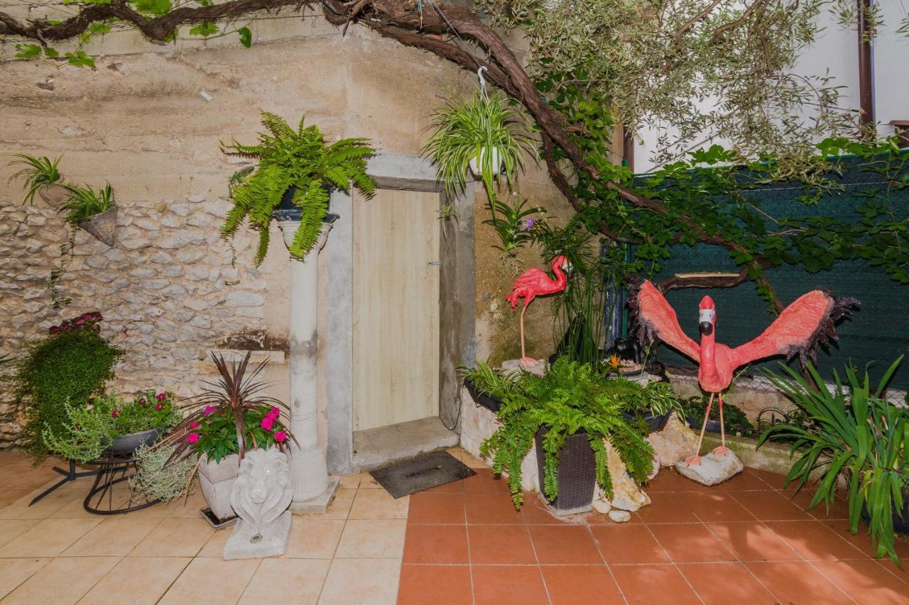 Appartement Naomi à Zadar Extérieur photo